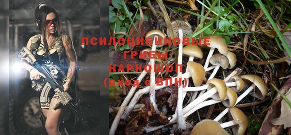 не бодяженный Богородск