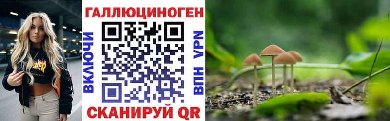 Псилоцибиновые грибы прущие грибы  наркошоп  Вилючинск 