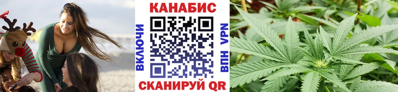 купить наркотики сайты  Вилючинск  Шишки марихуана план 